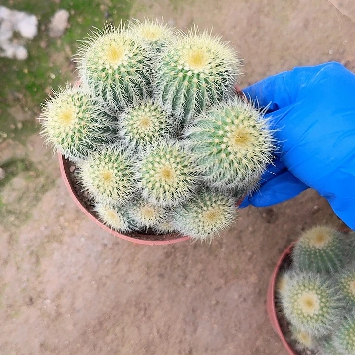 名*哈哈哈哈哈哈哈哈哈哈