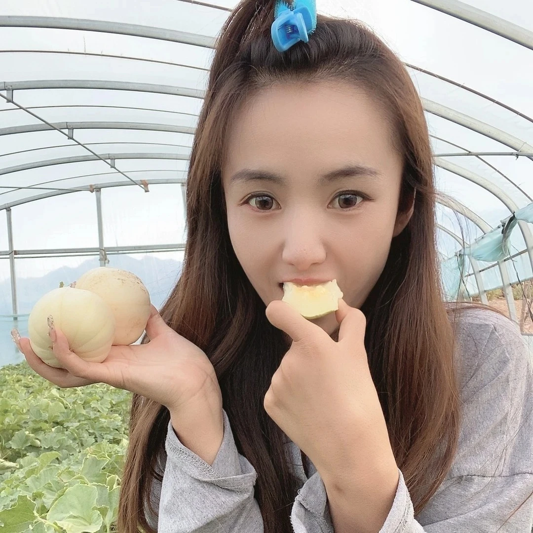 【老面娃娃推荐内蒙古甜瓜】来自巴彦淖尔的香瓜甜瓜10斤包邮【带箱】