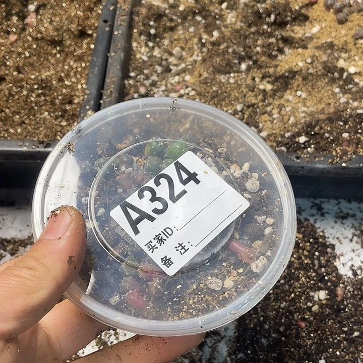 完全开放324兜一份