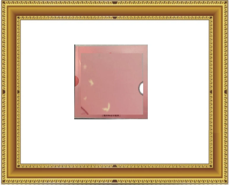 见党100州年 相框HH7AY3