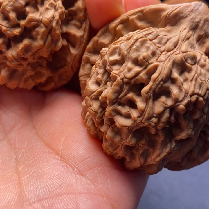 秦岭野生文玩核桃