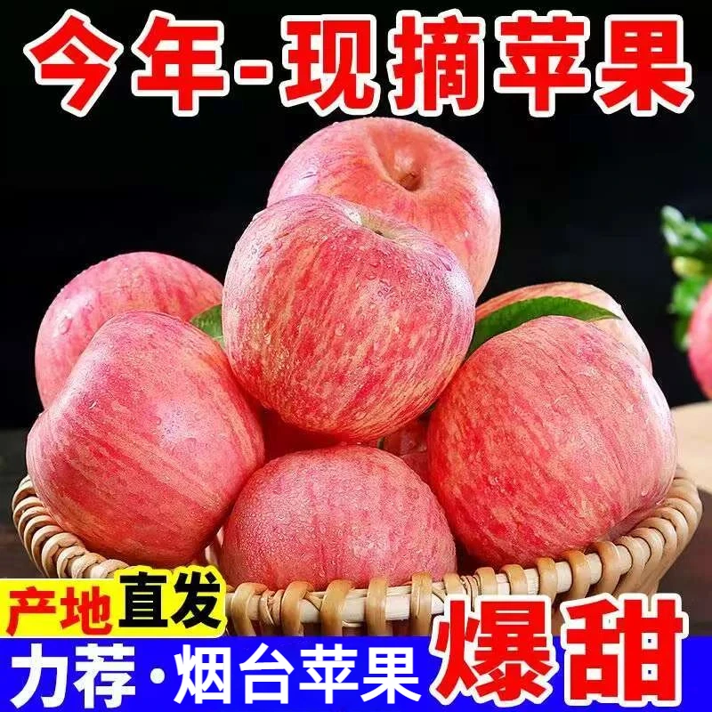 果们多 产地直发现摘烟台红富士苹果3斤5斤水果新鲜脆甜栖霞现摘