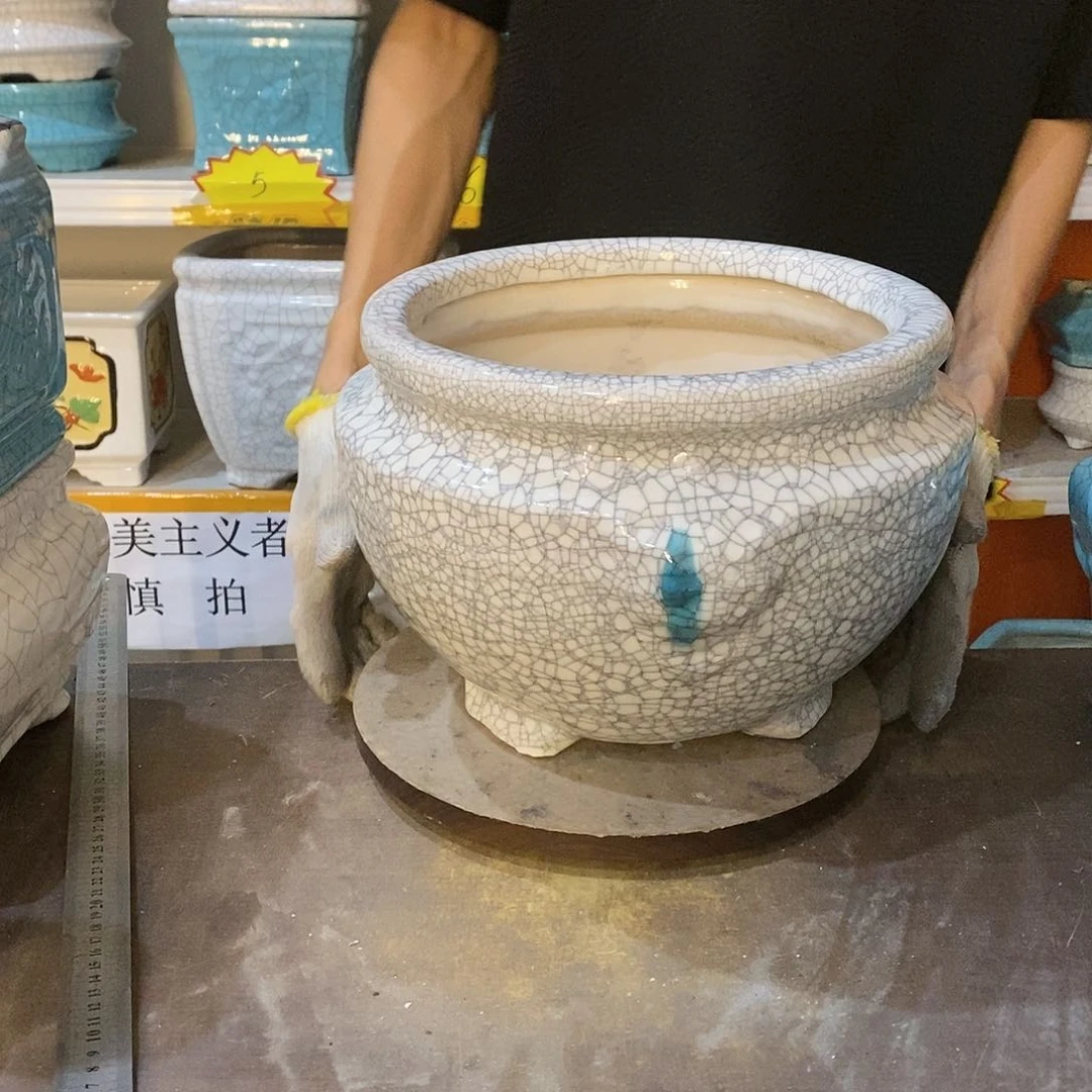 张**子瑕疵花盆花盆里的花