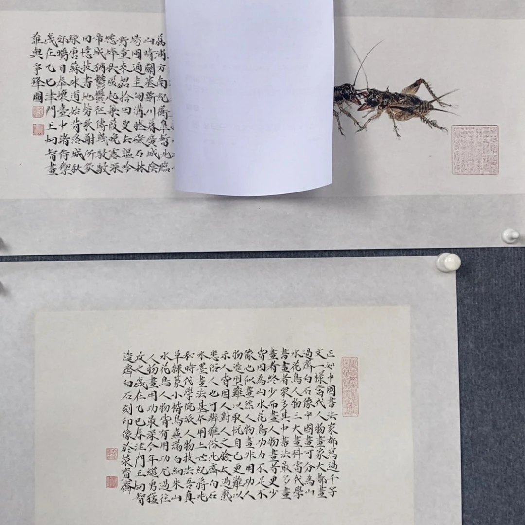 国画哈*兔绘画作品欣赏