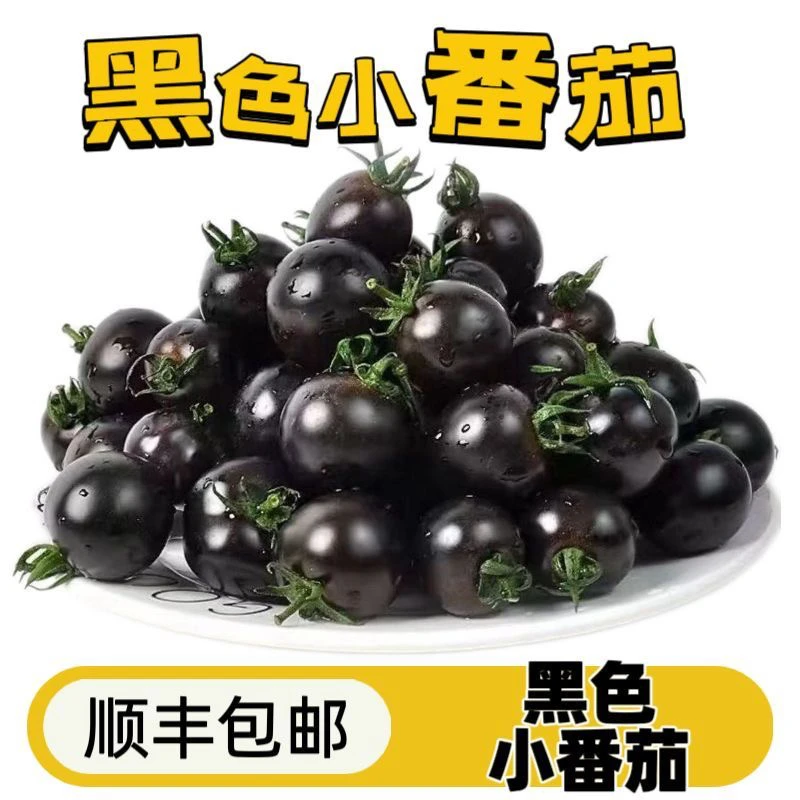 （海拔1000米 阳高直发好柿）黑白橙特色3色   高营养 （含香芒皇后）