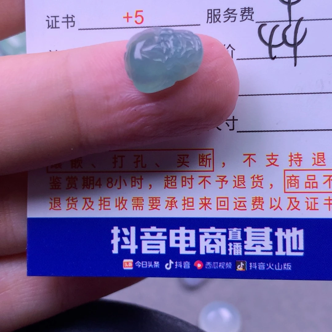 翡翠颈饰未镶嵌Y****01111111