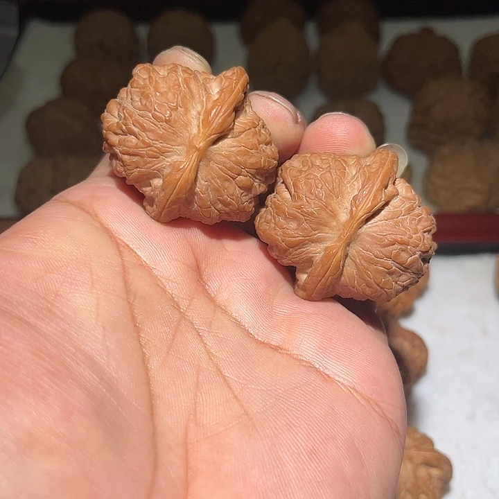 木41血麒麟 我。