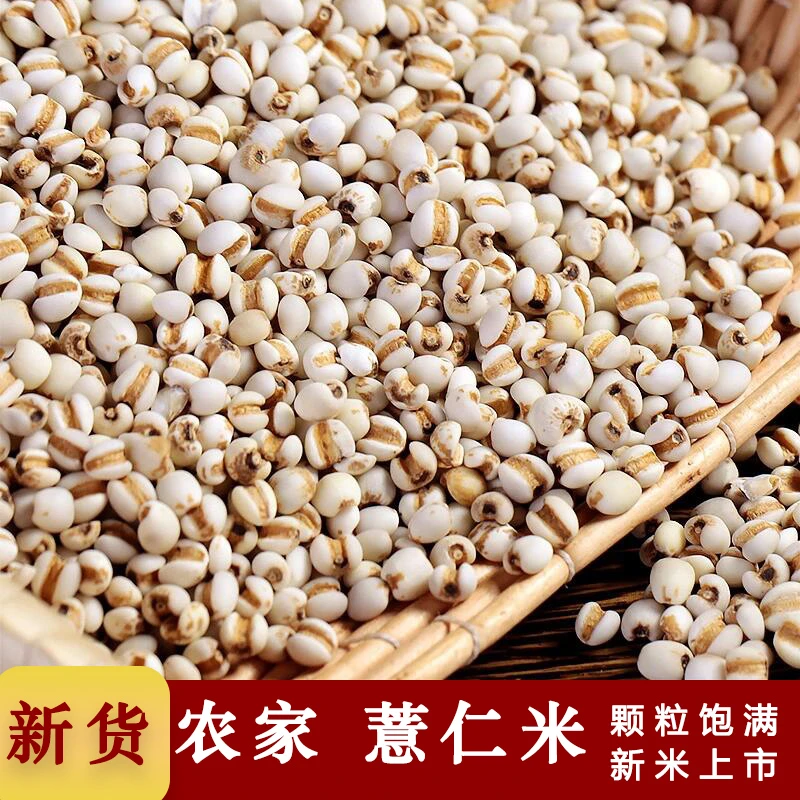 正宗农家薏米 新货优质薏仁米