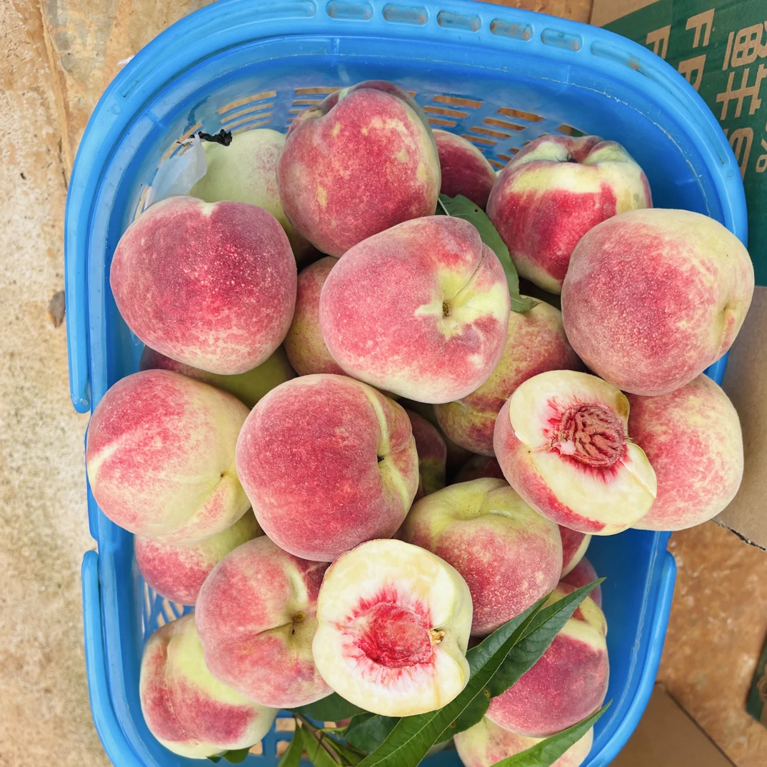 云南正宗红蜜冬桃现摘现发甜脆爽口桃味十足