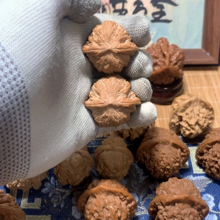 夜***熙哈哈哈哈哈哈哈哈哈哈