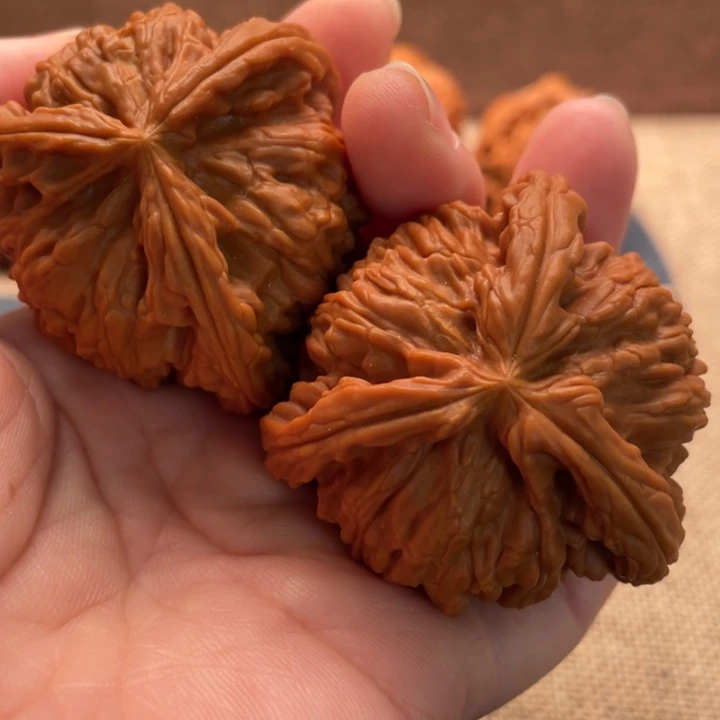 都***好核桃白狮子45核桃