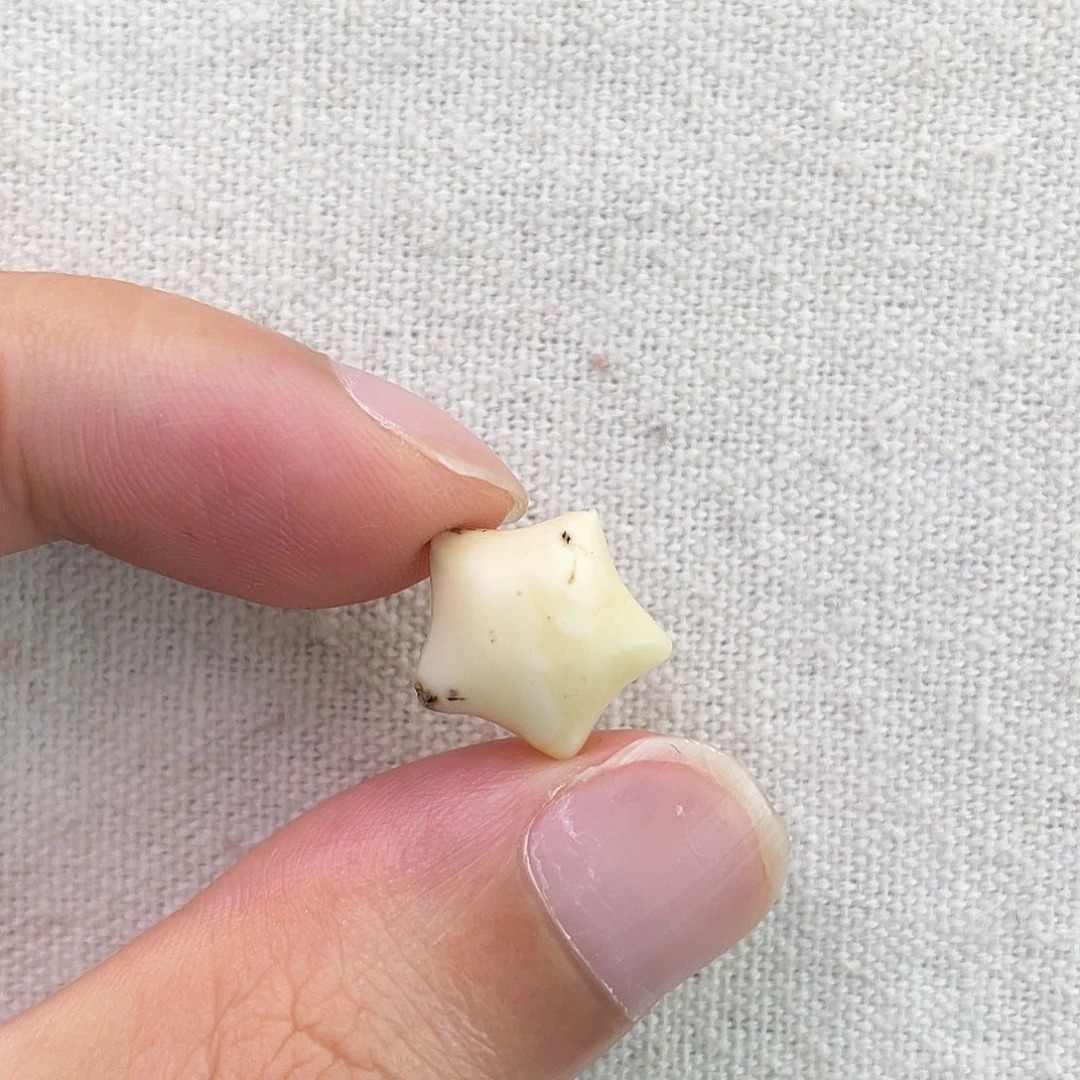 琥珀未镶嵌珠宝奇石星星