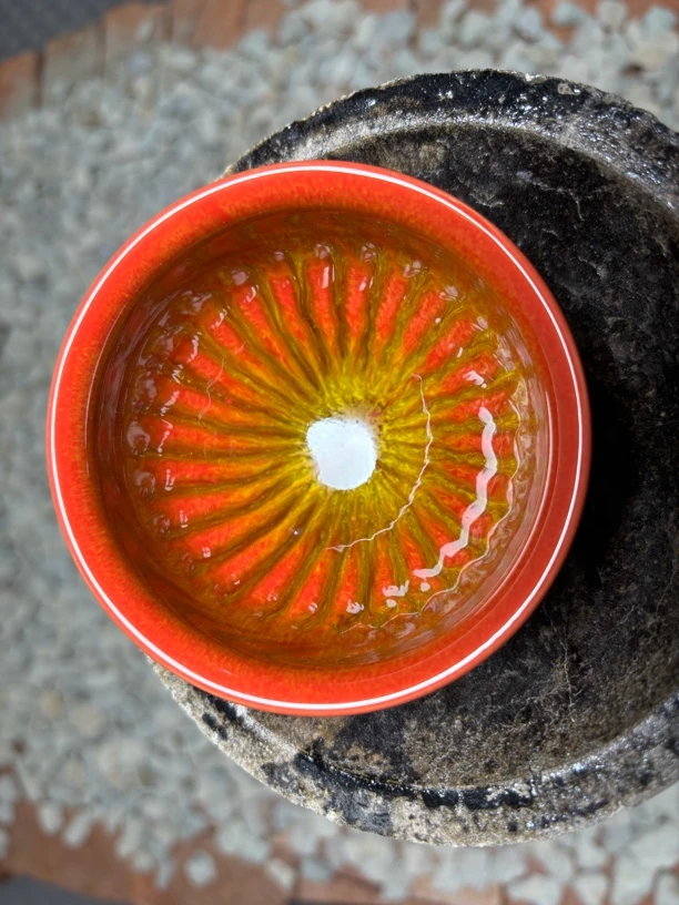 红润玉子太阳花将军杯-配礼盒