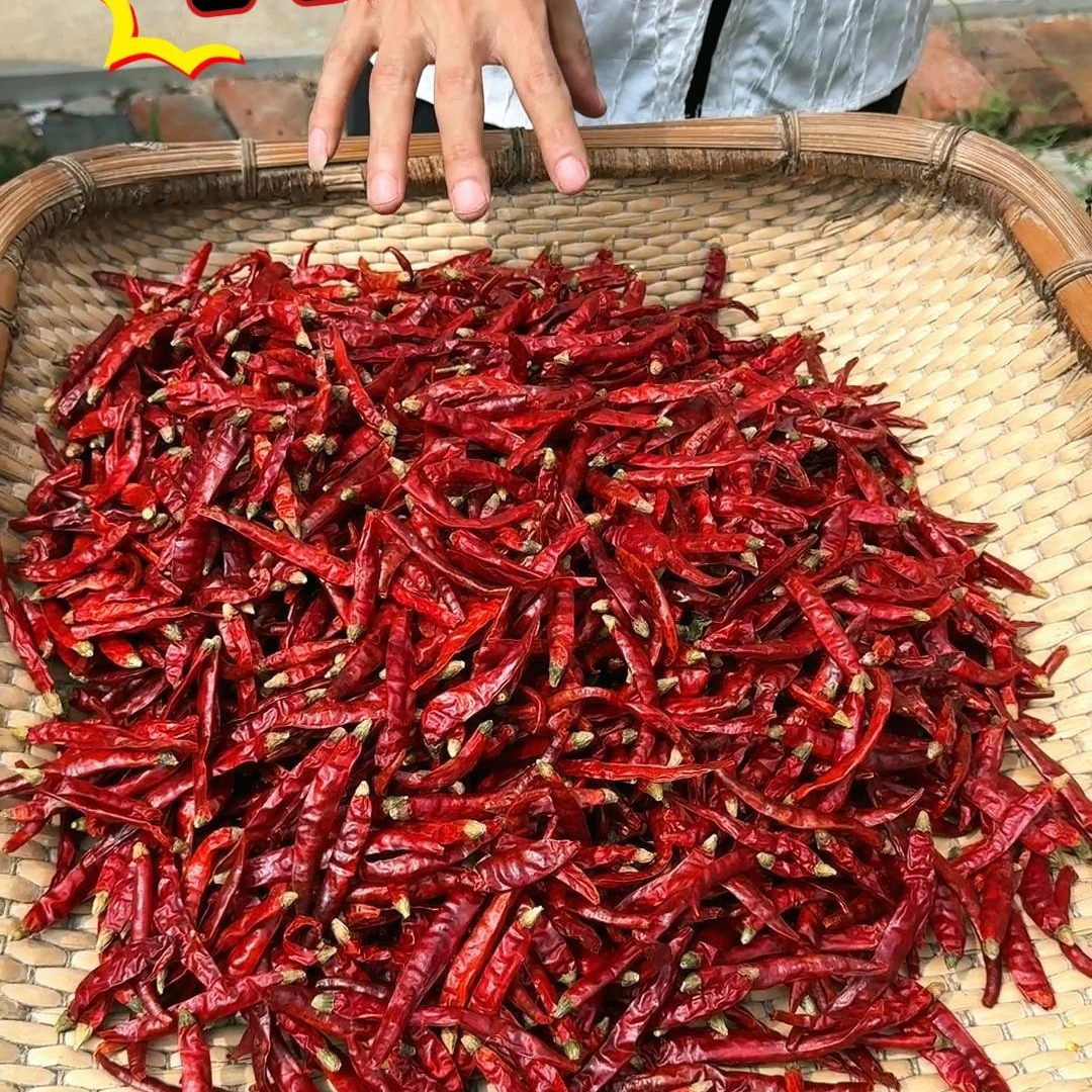 特辣小米椒椒魔鬼椒干辣椒多种辣度可选