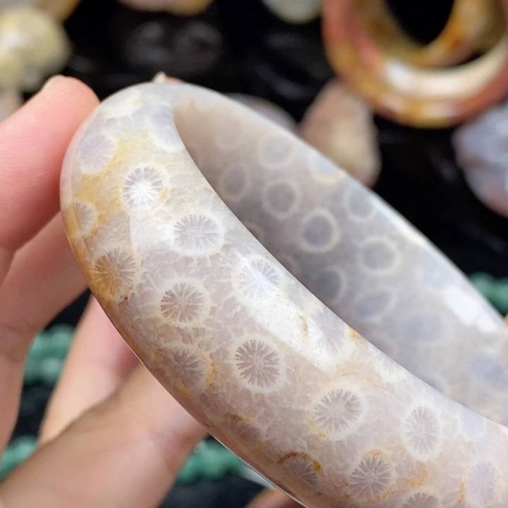 美***美未镶嵌手镯硅化玉