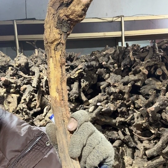 香榧木安*火琉璃的故事要料baijian