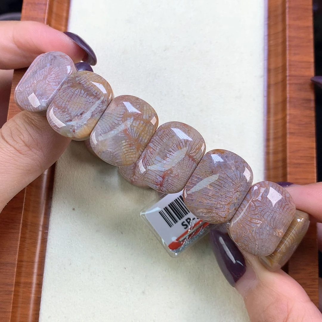 【闪购商品】颈饰未镶嵌硅化珊瑚（珊瑚玉）福利手牌300漏200（26号）