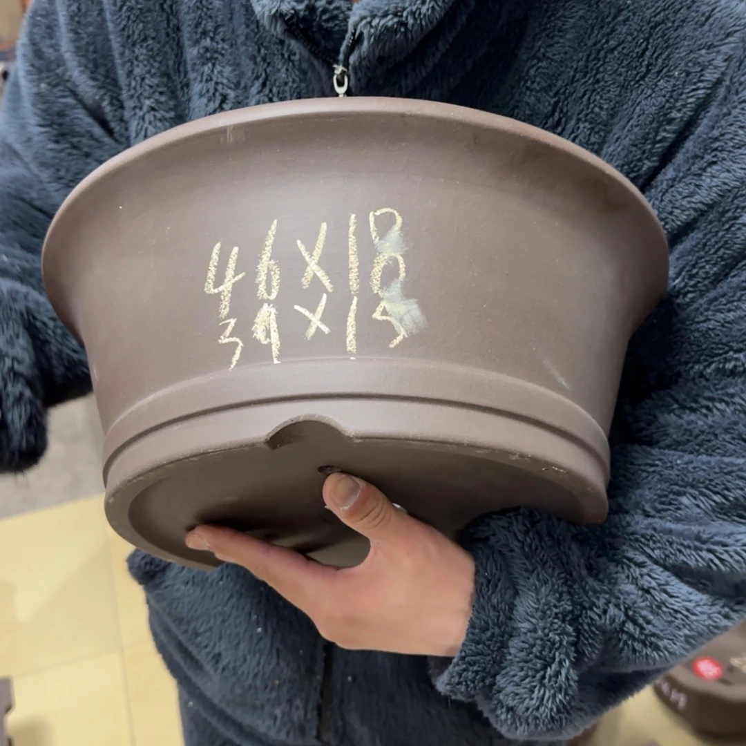 紫砂花盆呜呜呜呜