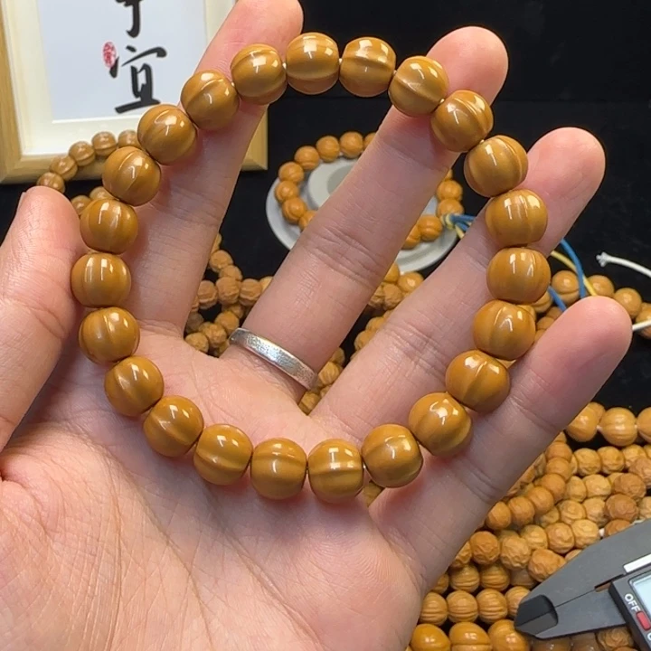核桃猴头四花小鲨鱼背