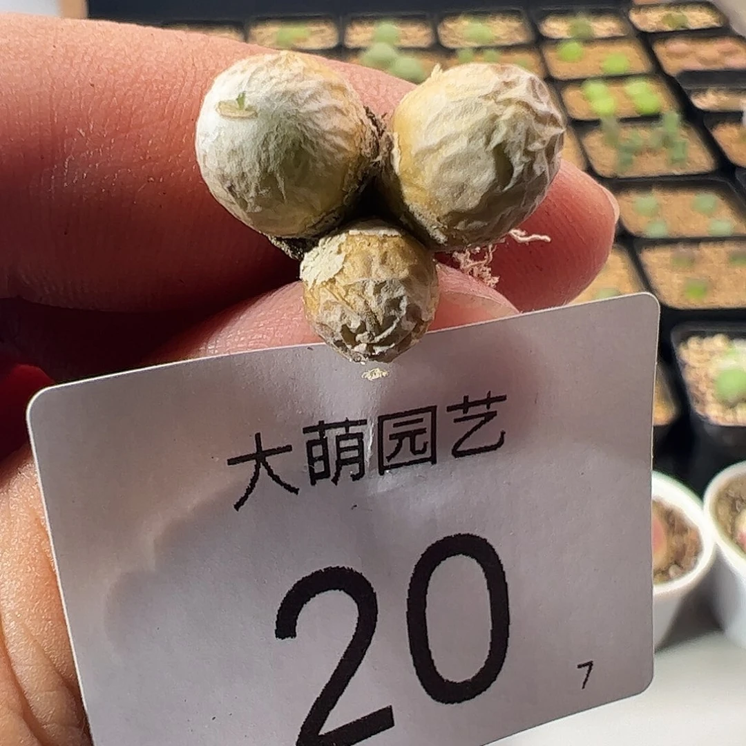 000020 一物一拍……