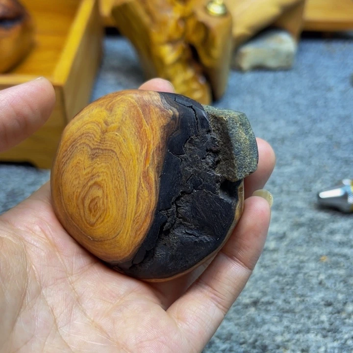 柏木（崖柏）崖柏168