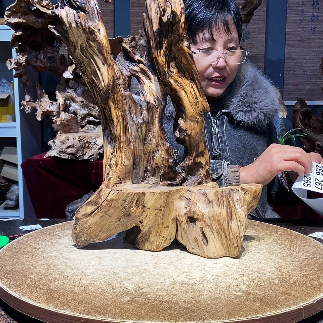 响***哥264。株木随行根艺