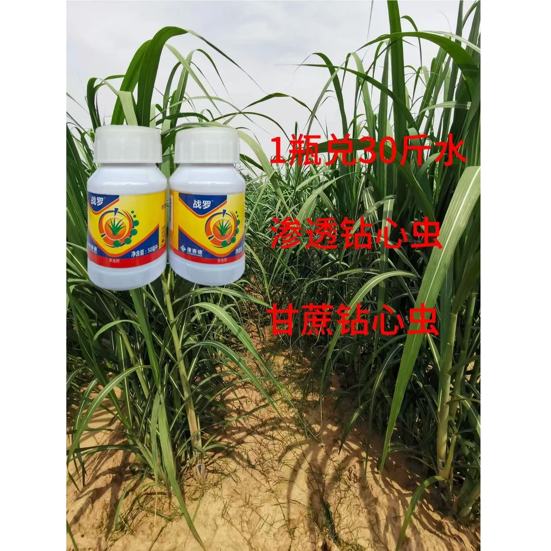 甘蔗钻心虫甘蔗杀虫剂果蔗杀虫剂水稻卷叶虫阿维菌素
