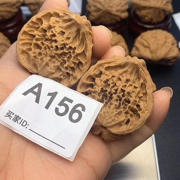 核桃老鼠半壁4.1，