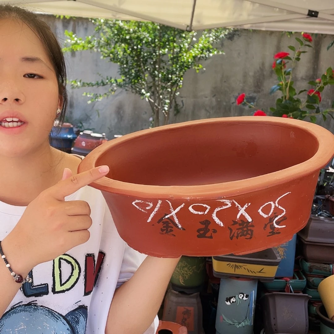 30红椭圆花盆花盆花盆花盆