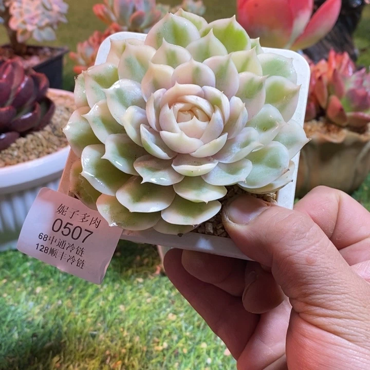 0507啊啊啊啊啊啊啊啊