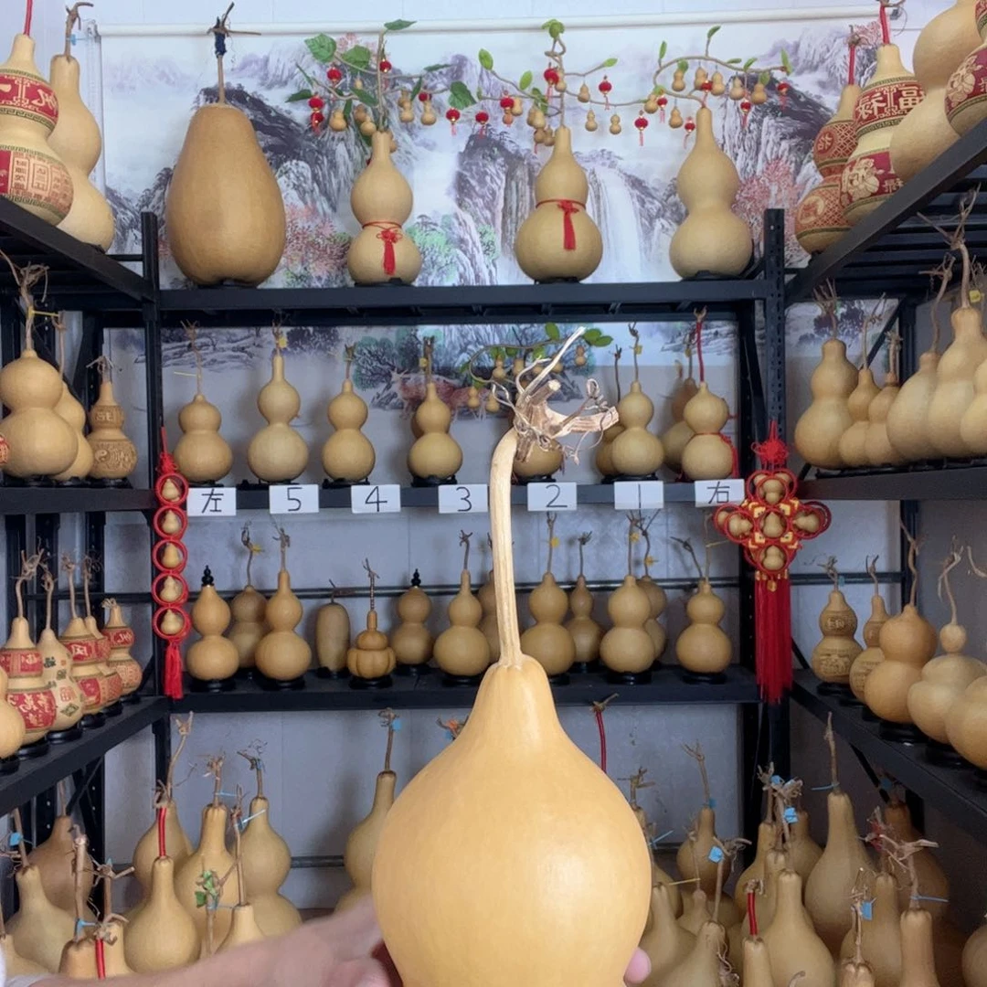 问*葫芦葫芦葫芦葫芦葫芦葫芦葫芦葫芦