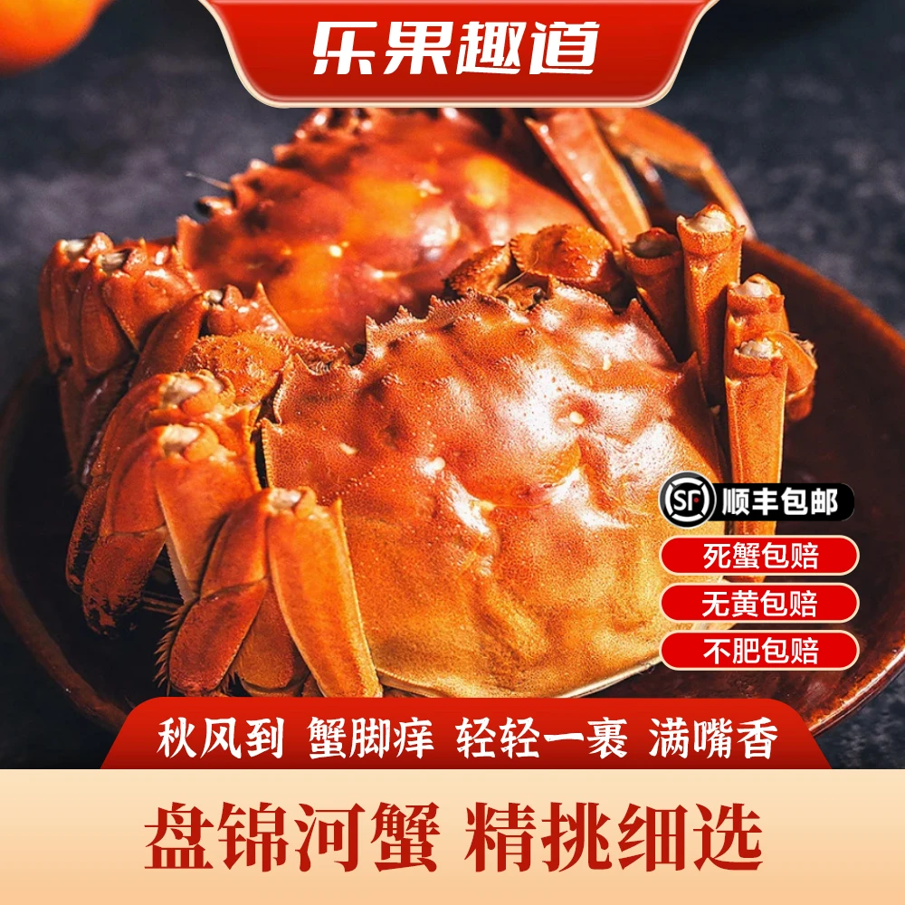 【活蟹】盘锦河蟹 1.6-1.4两/只 全母 到手2斤 鲜活发货