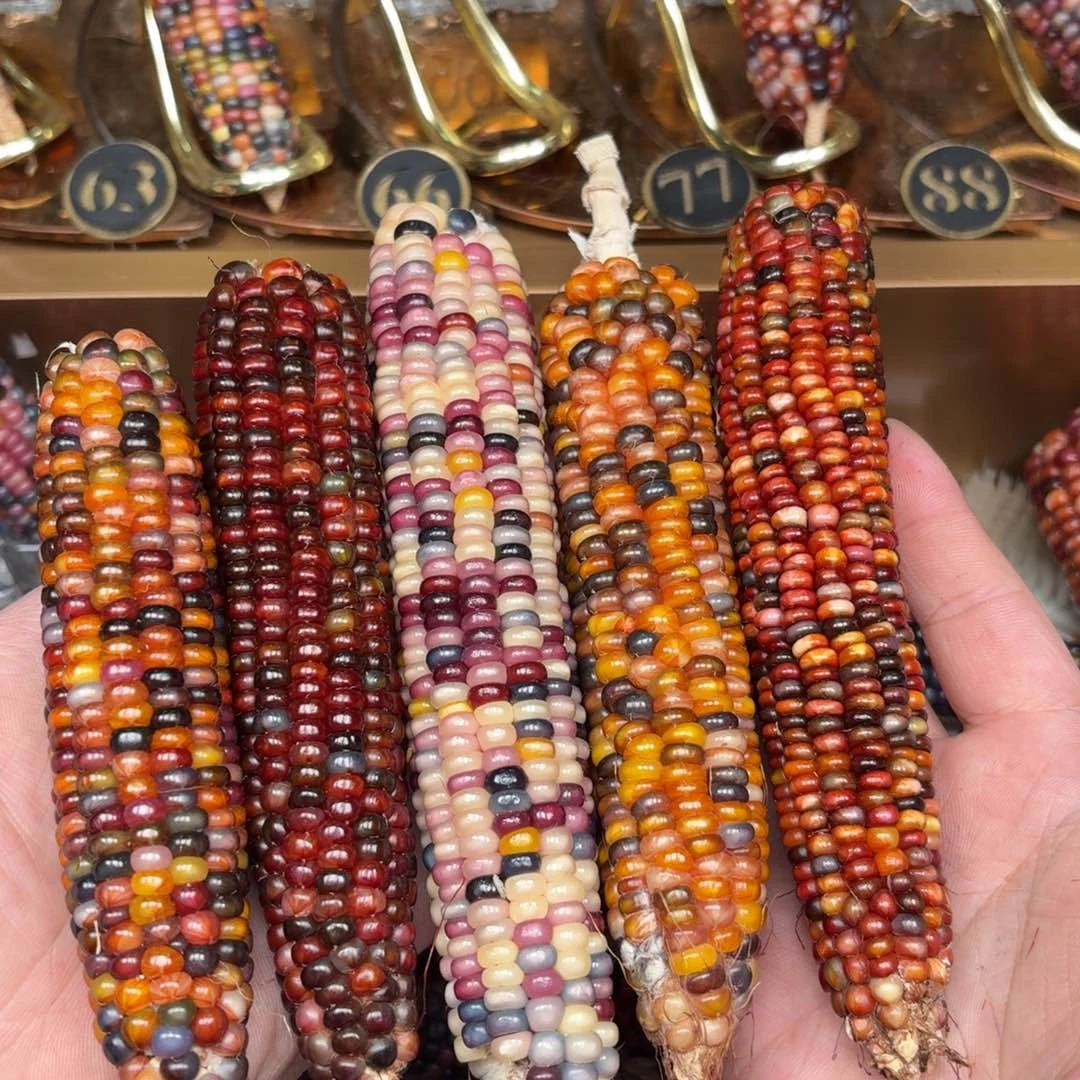 柏香籽/百香籽吊坠R****a