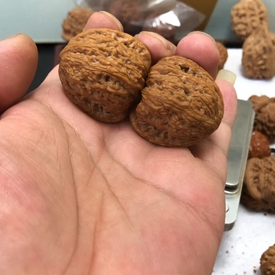 達***有机玻璃是咯摸摸哦哦哦哦