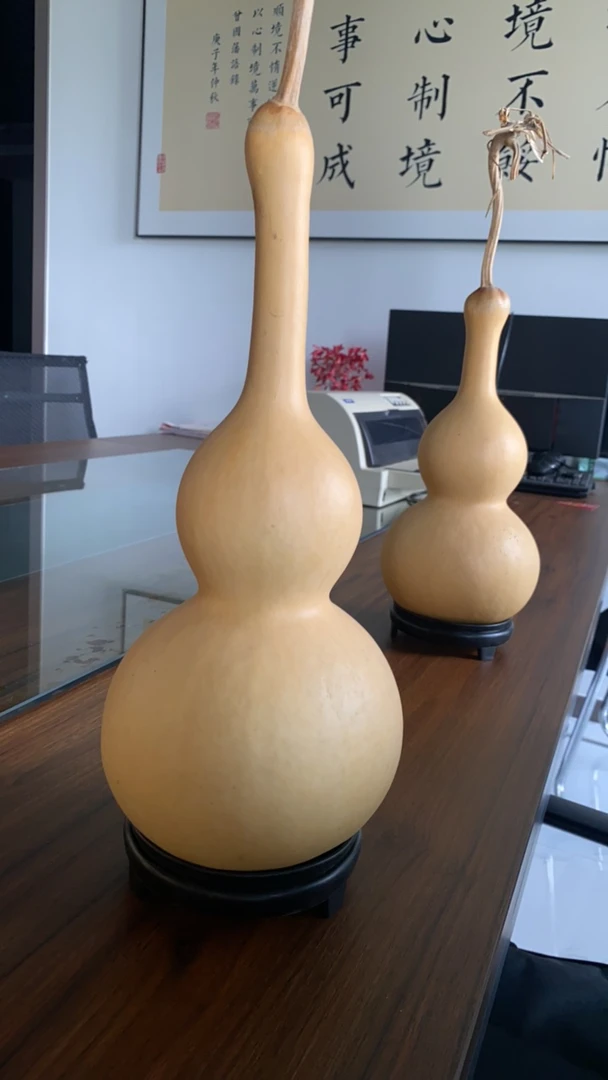 中号葫芦直播间专用一物一拍