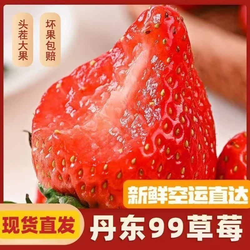 【高端礼盒】正宗丹东九九草莓 特大果 红颜奶油草莓顺丰产地直发