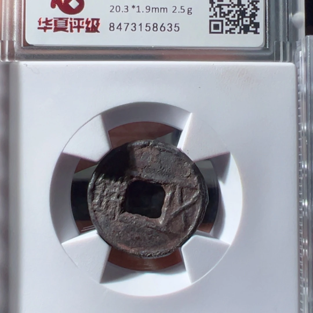 金梁铁五株好看的123