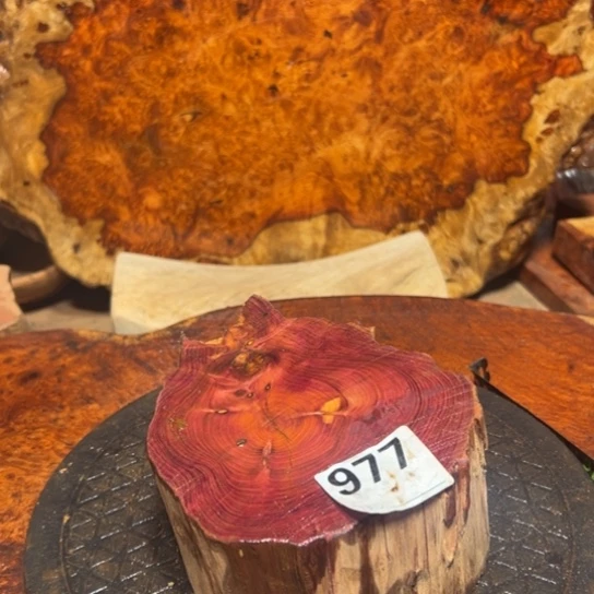 大果紫檀（缅甸花梨）