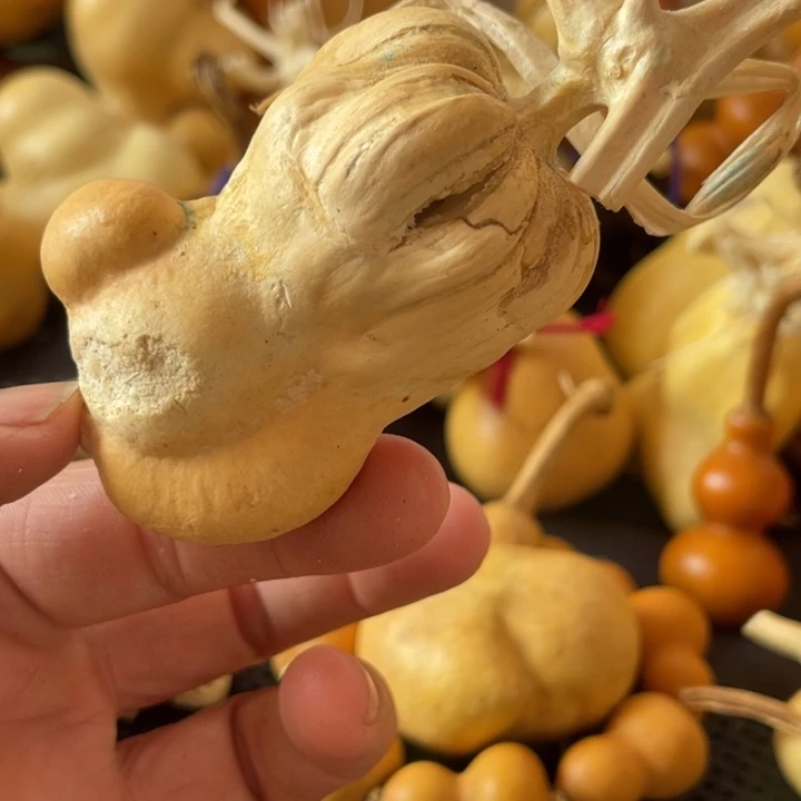 一***士葫芦哈哈哈哈哈哈哈哈