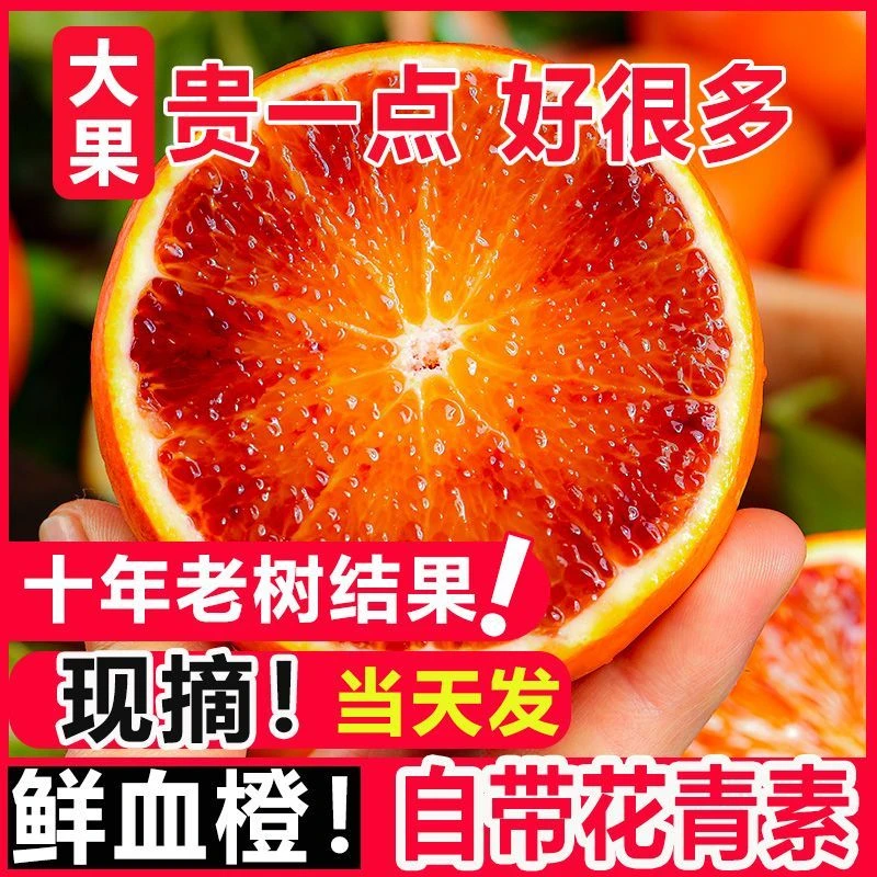 四川资中塔罗科血橙鲜甜爆汁果冻橙子农户直采