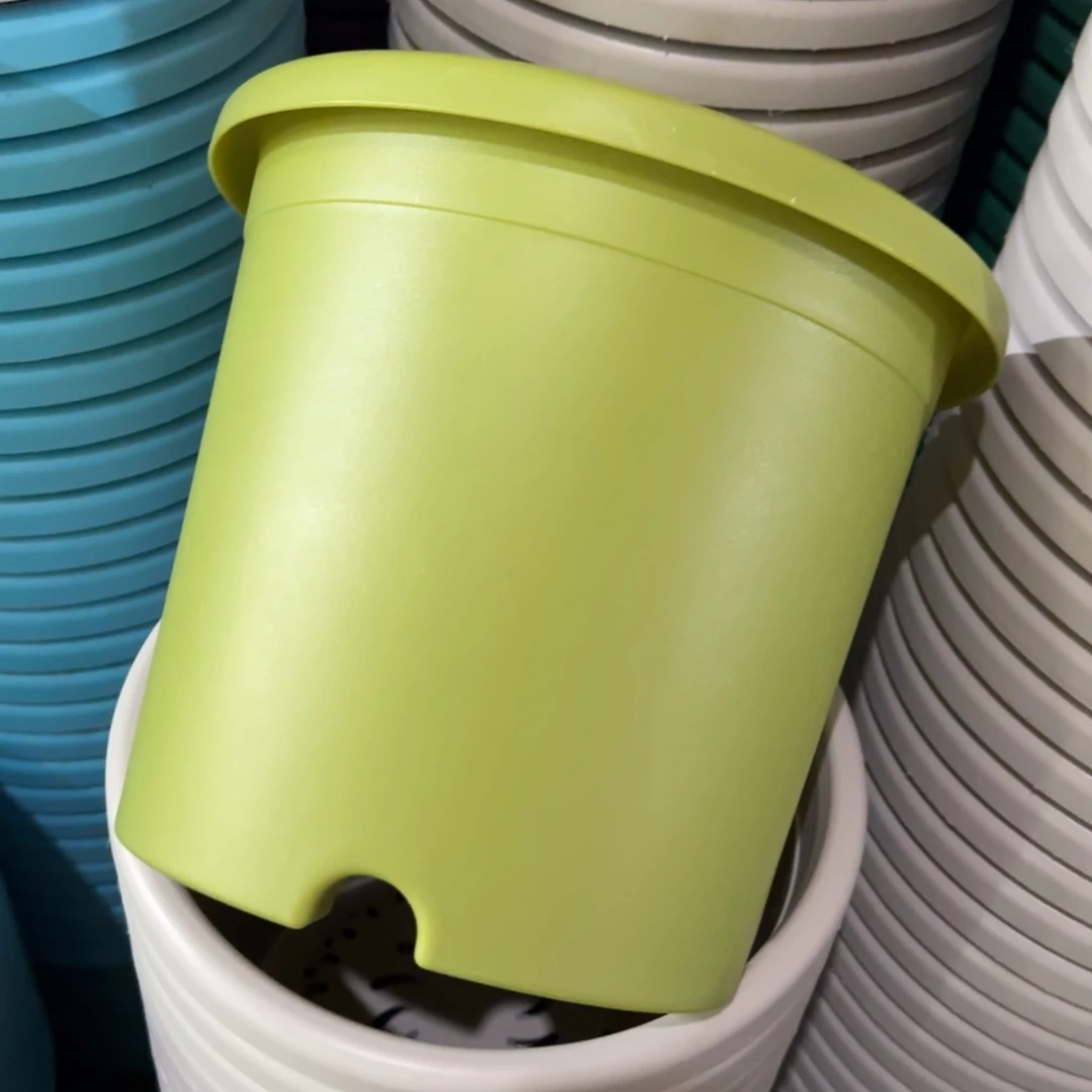 树脂特价4#无拖果绿8个