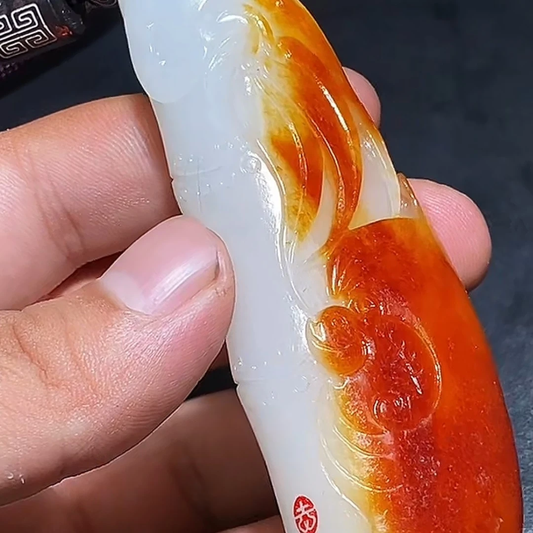 竹节多样性拍一发一10.7 cc