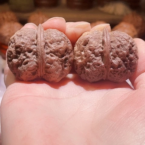 把件文玩核桃黑山老蟾彩阴39