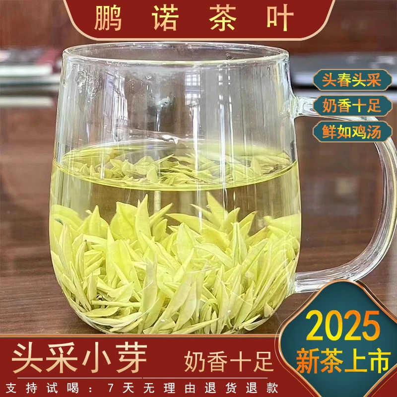 【2025新茶小熊猫奶白皇金芽】嫩芽壮芽 N2 鲜香嫩滑 品质推荐
