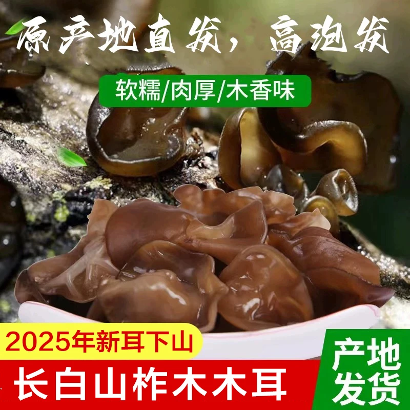 东北长白山柞木木耳 软糯Q弹 500g包邮