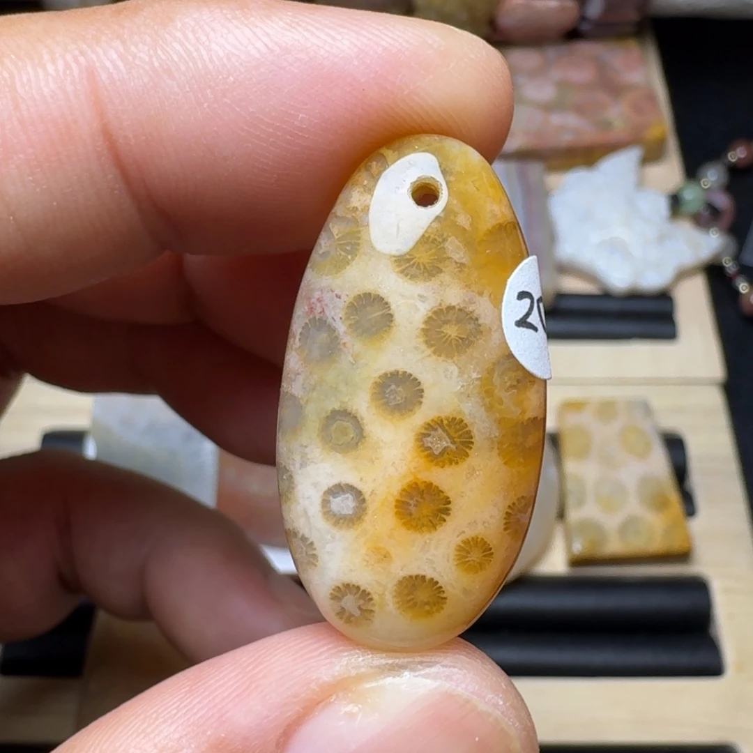 未镶嵌纯天然色有机玉石保真色硅化玉