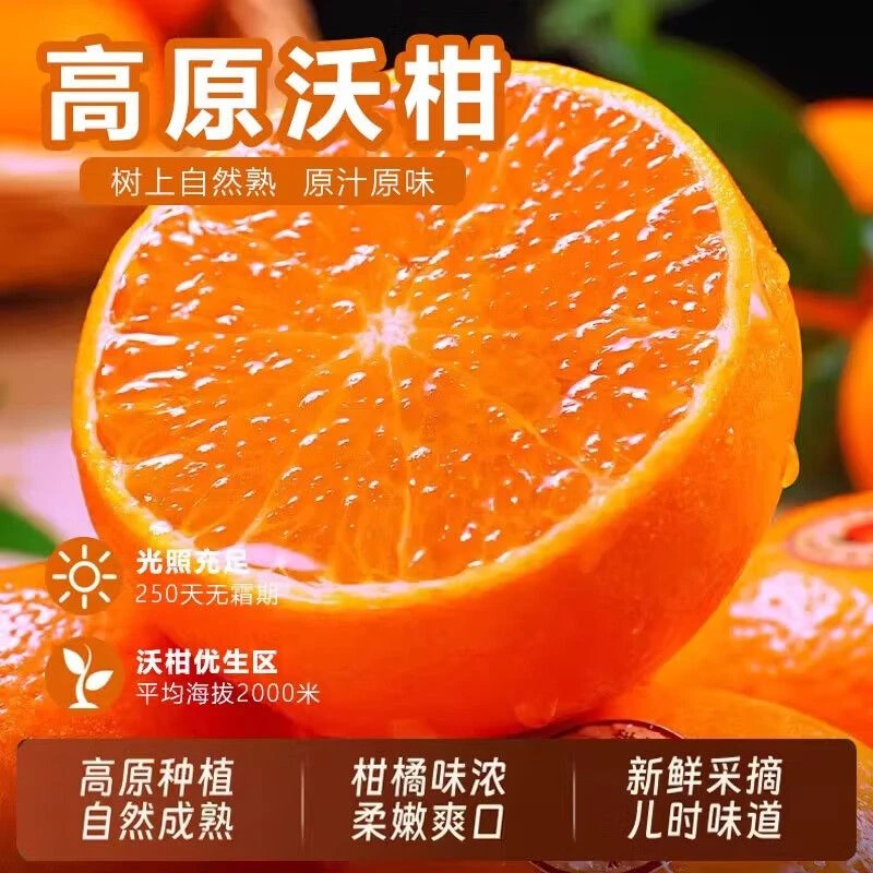 高山沃柑当季新鲜水果皮薄多汁香甜柑橘现采现发