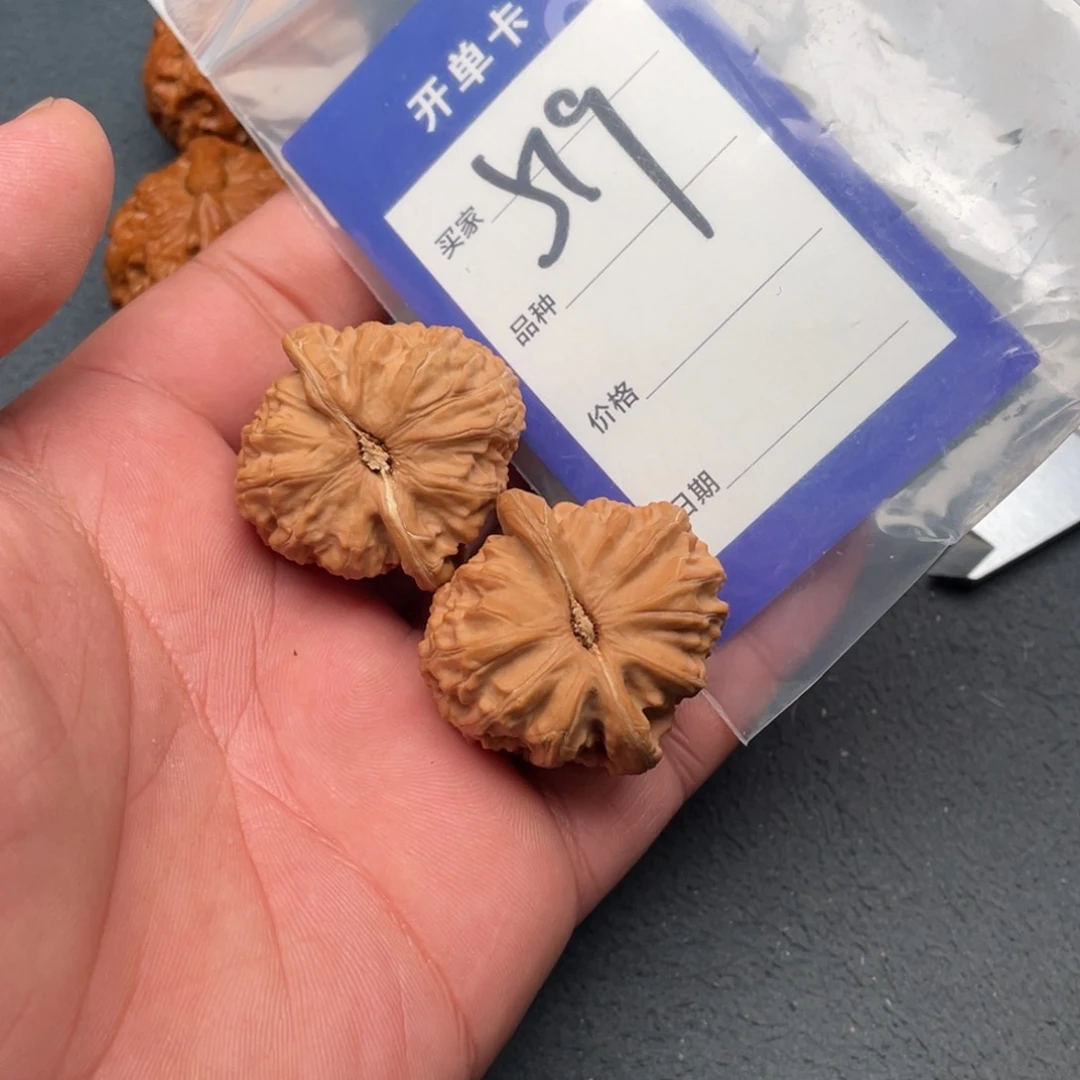 核桃把件37白狮子，519号