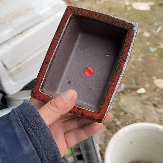 不去看书啊哈是真的想去吃个早饭