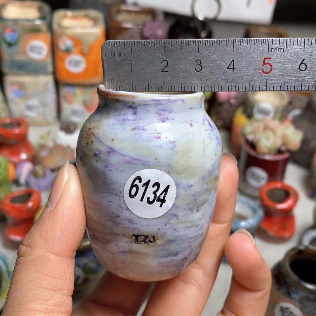 寒*花盆拍5送一个小礼物